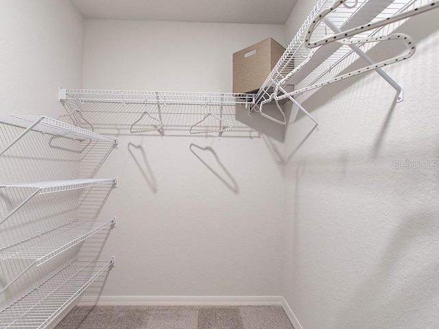 spacious closet with carpet flooring