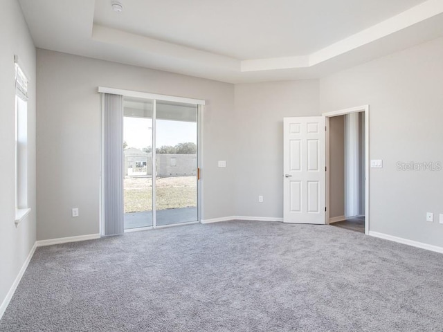 empty room with carpet flooring and a raised ceiling