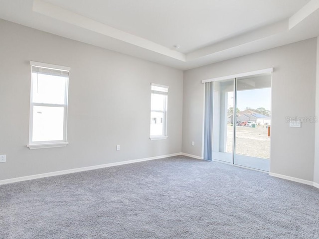 carpeted spare room featuring a raised ceiling and a healthy amount of sunlight