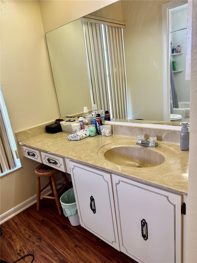 bathroom with baseboards, wood finished floors, and vanity