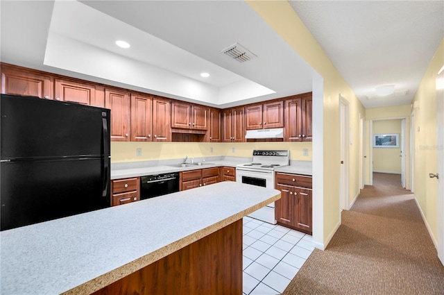 kitchen with a raised ceiling, light carpet, sink, and black appliances