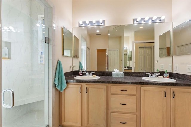 bathroom featuring vanity and a shower with door