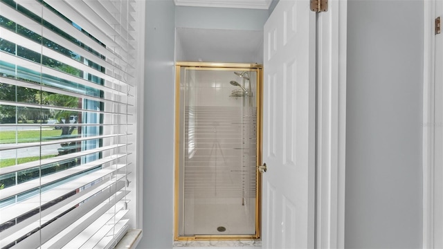 bathroom featuring a shower with shower door