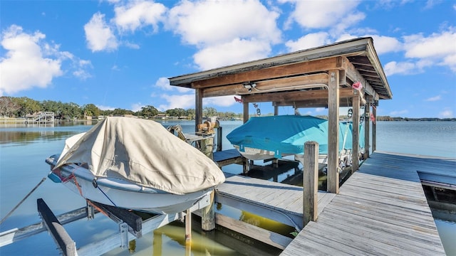 dock area with a water view