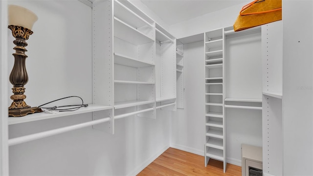 spacious closet with light wood-type flooring