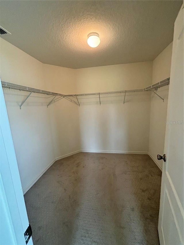 spacious closet featuring carpet floors