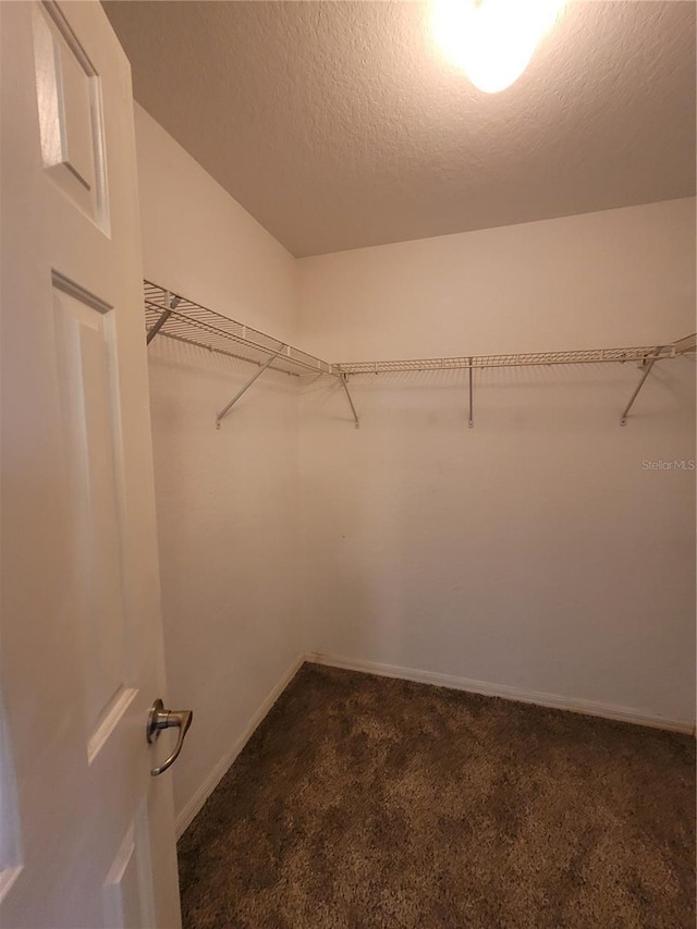 spacious closet featuring dark colored carpet