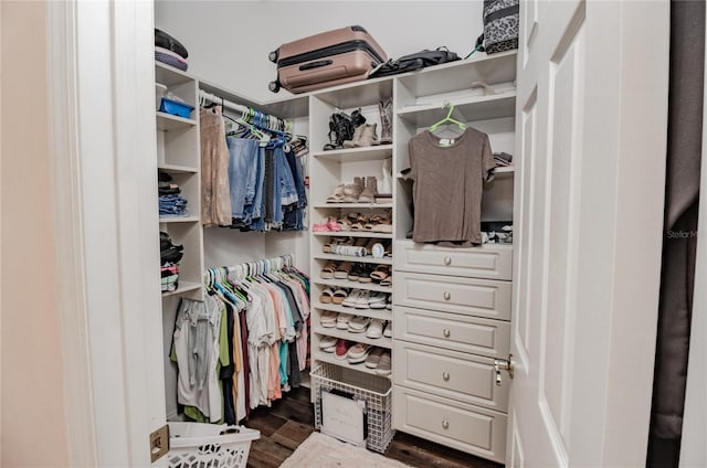 walk in closet with dark wood-type flooring