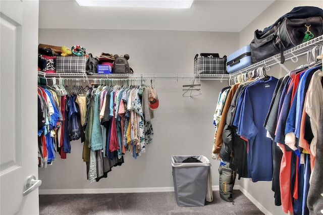 walk in closet featuring carpet flooring