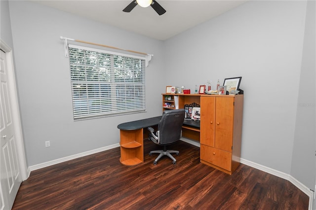 office featuring ceiling fan and dark hardwood / wood-style floors