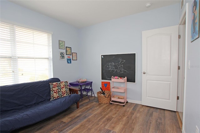 living room featuring dark wood-type flooring