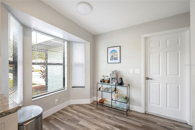 living area featuring light hardwood / wood-style floors