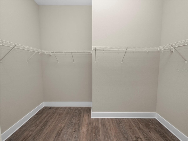 walk in closet featuring dark hardwood / wood-style floors