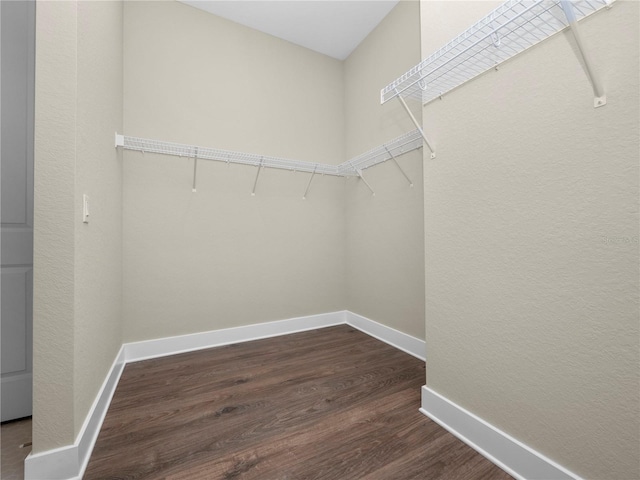 walk in closet featuring dark hardwood / wood-style flooring