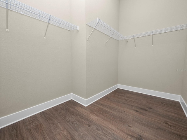 walk in closet with dark hardwood / wood-style flooring