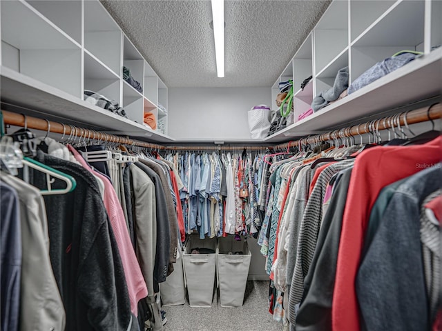 view of walk in closet