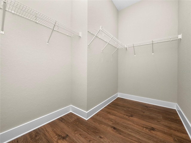 walk in closet with dark hardwood / wood-style floors