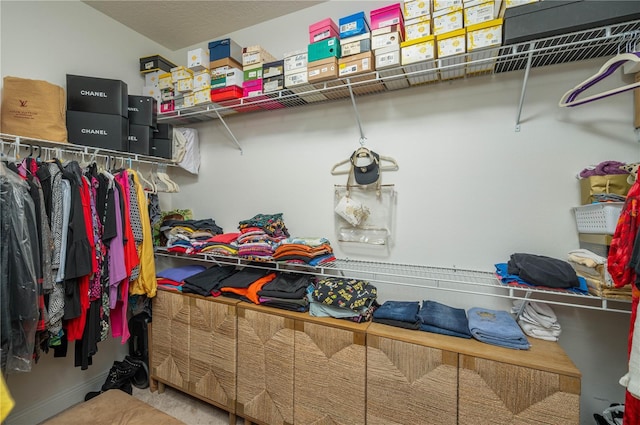 view of spacious closet