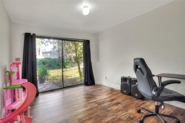 office featuring wood-type flooring