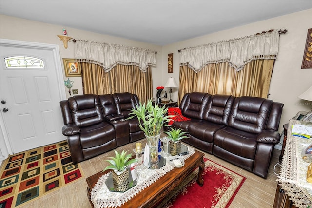 living room featuring light hardwood / wood-style floors