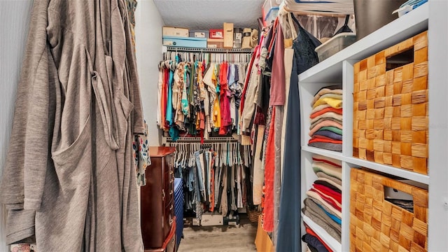 view of spacious closet