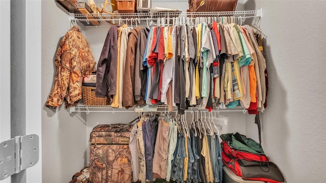 view of walk in closet