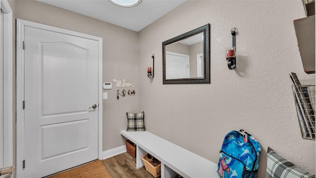 mudroom with dark hardwood / wood-style flooring