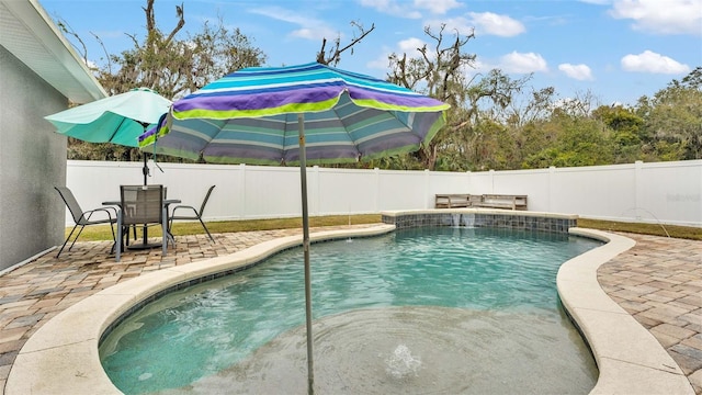 view of swimming pool with a patio