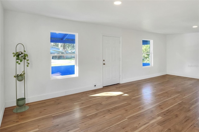 foyer entrance featuring wood-type flooring and plenty of natural light