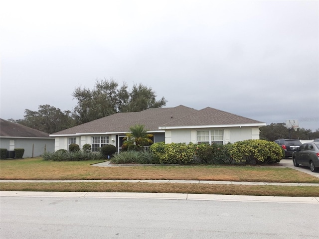 ranch-style house with a front yard