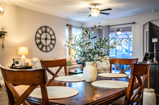 dining room with ceiling fan and hardwood / wood-style flooring