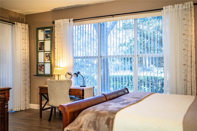 bedroom with multiple windows and dark wood-type flooring