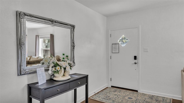 foyer entrance featuring hardwood / wood-style flooring