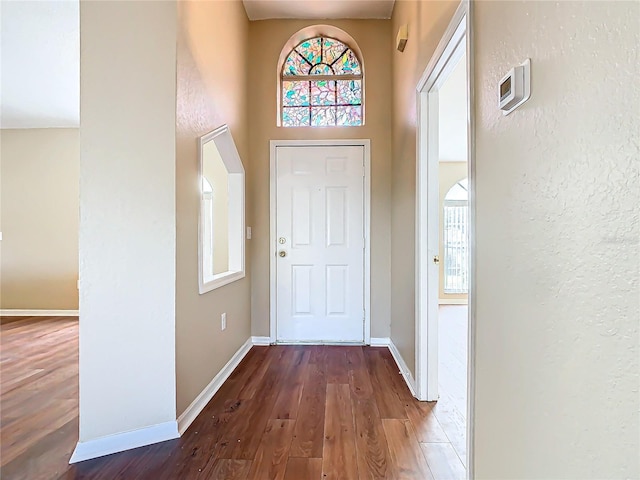 entrance foyer with a high ceiling and dark wood-type flooring