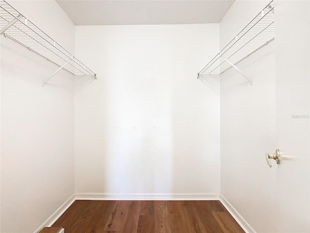 spacious closet with hardwood / wood-style flooring