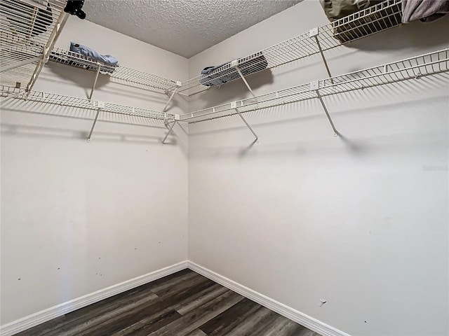 spacious closet with dark wood-type flooring