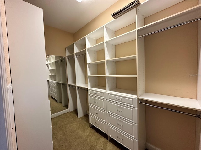 walk in closet with dark colored carpet