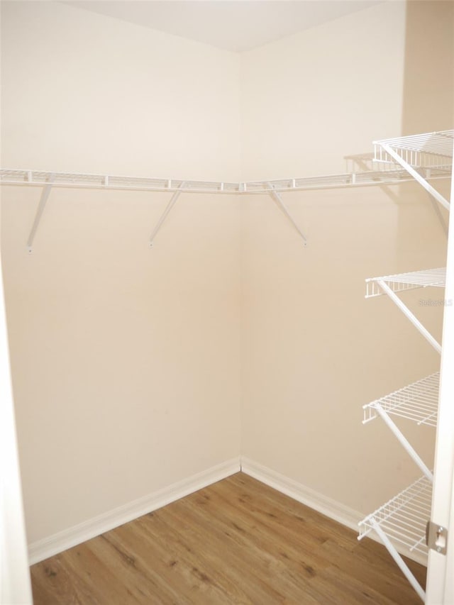 walk in closet featuring wood finished floors