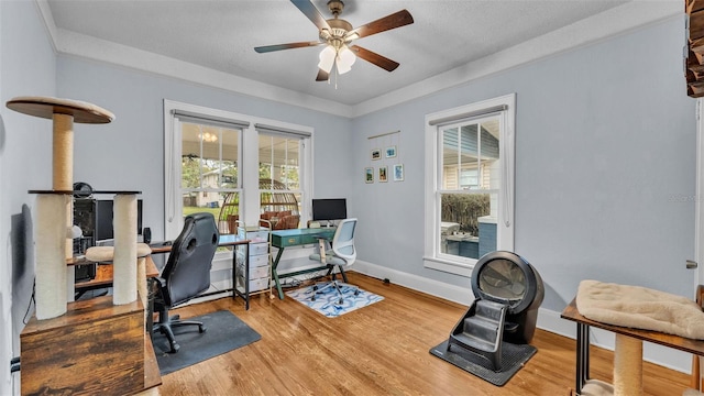 office featuring wood-type flooring, a textured ceiling, and ceiling fan