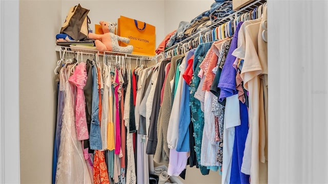 view of walk in closet