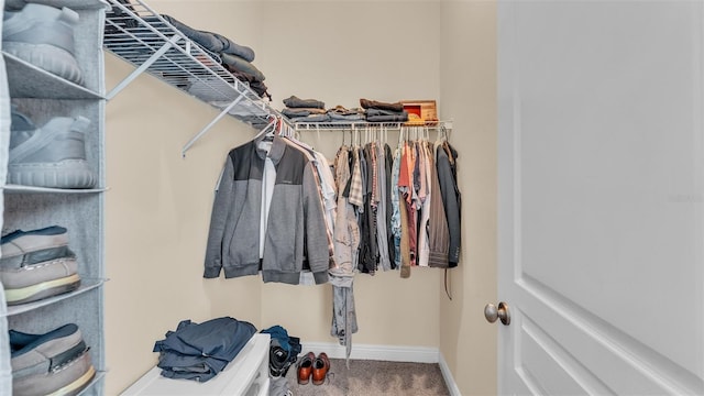 spacious closet with carpet