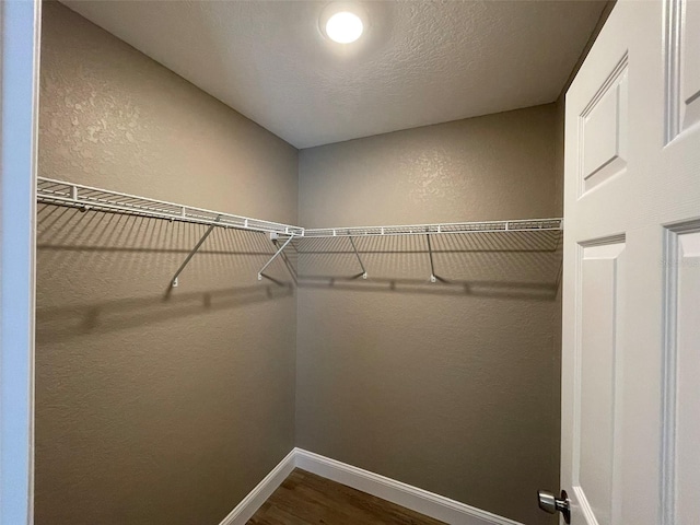 spacious closet with wood-type flooring