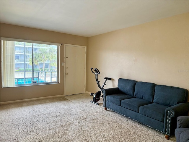 living room featuring carpet