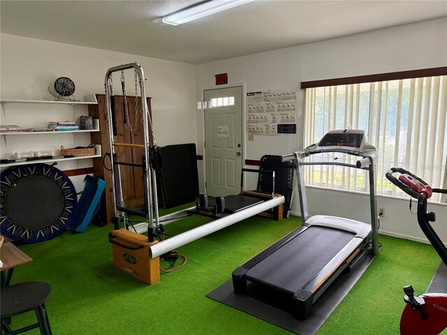 workout area with carpet