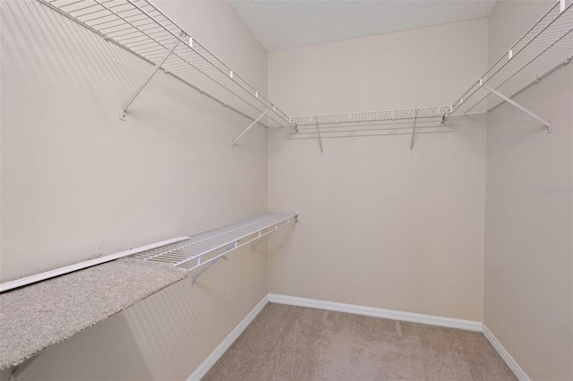 spacious closet featuring carpet flooring