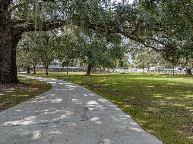 view of community with a lawn