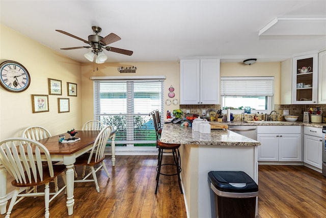 kitchen featuring decorative backsplash, dark wood-style floors, stainless steel dishwasher, and ceiling fan