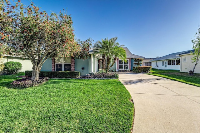 view of front of home featuring a front lawn, concrete driveway, and stucco siding