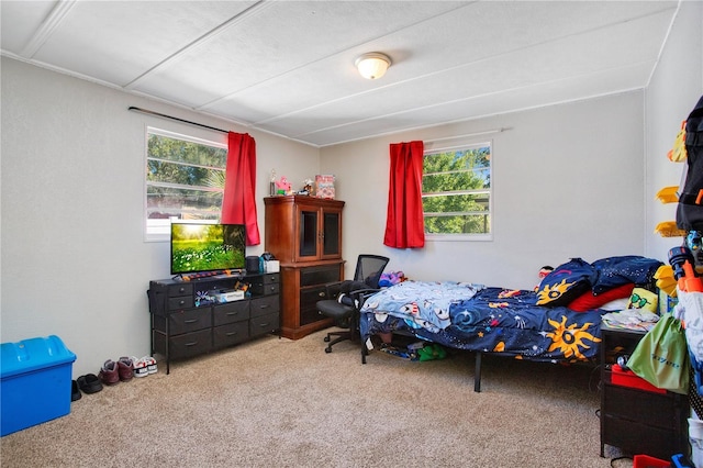 bedroom featuring multiple windows and carpet