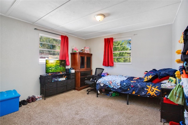 1133 N Brunnell Pkwy, Lakeland, FL 33805 - photo 15